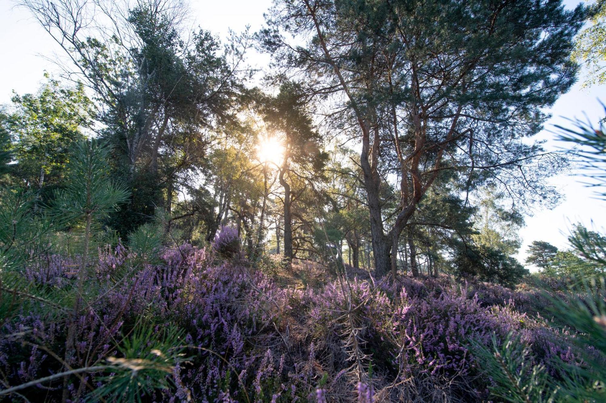 Buitenplaats Holten Ferienpark 3*
