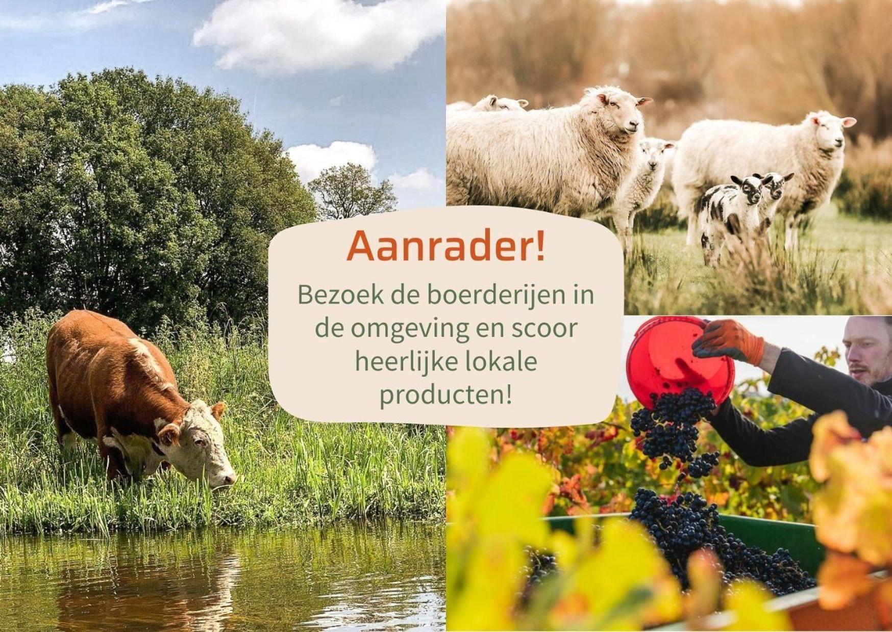 Buitenplaats Holten Ferienpark Rijssen